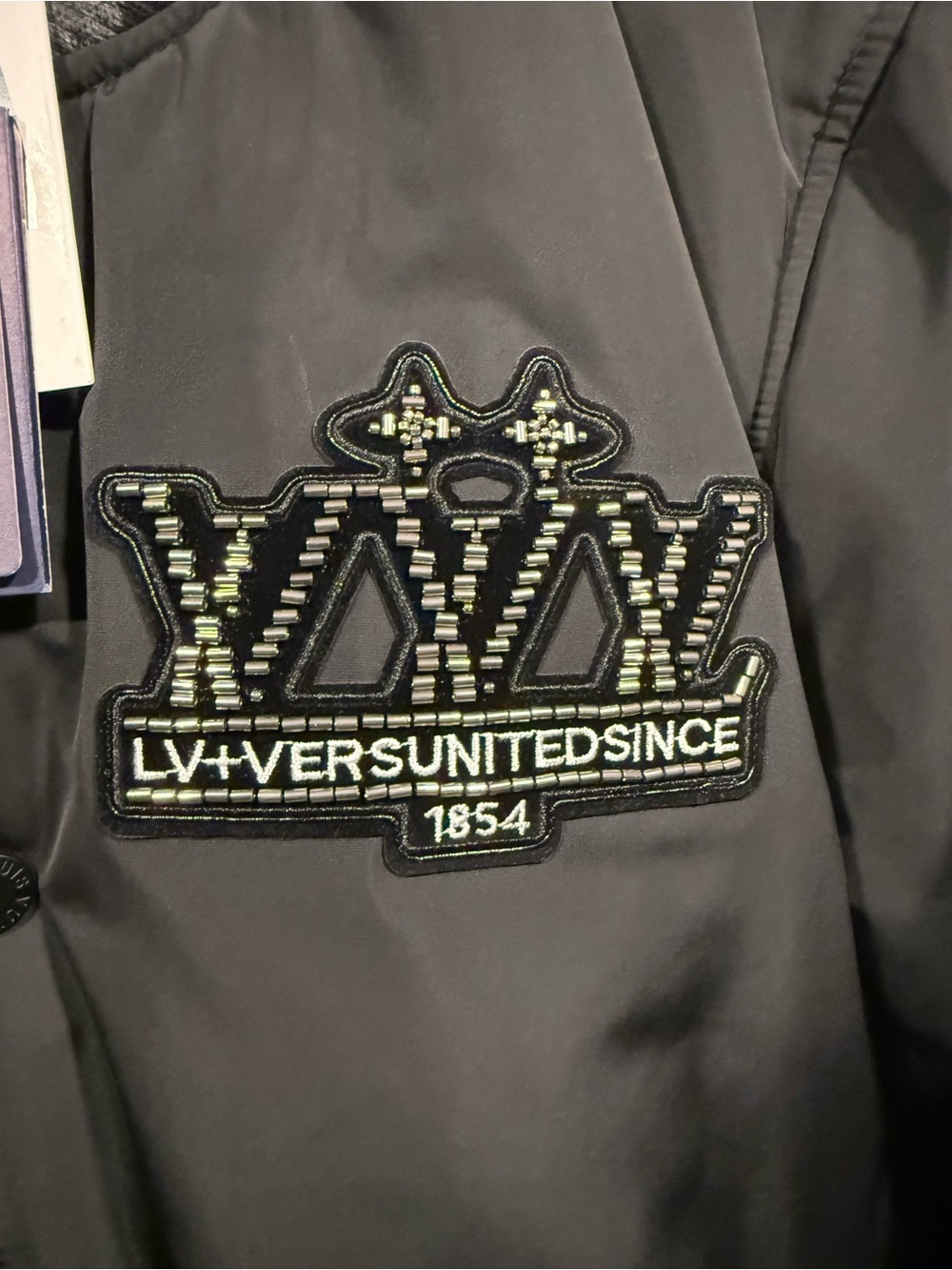 Louis Vuitton Embellished nylon baseball Bomber Jacket with Crest Patch FW24 1:1 - Picture 3 of 12